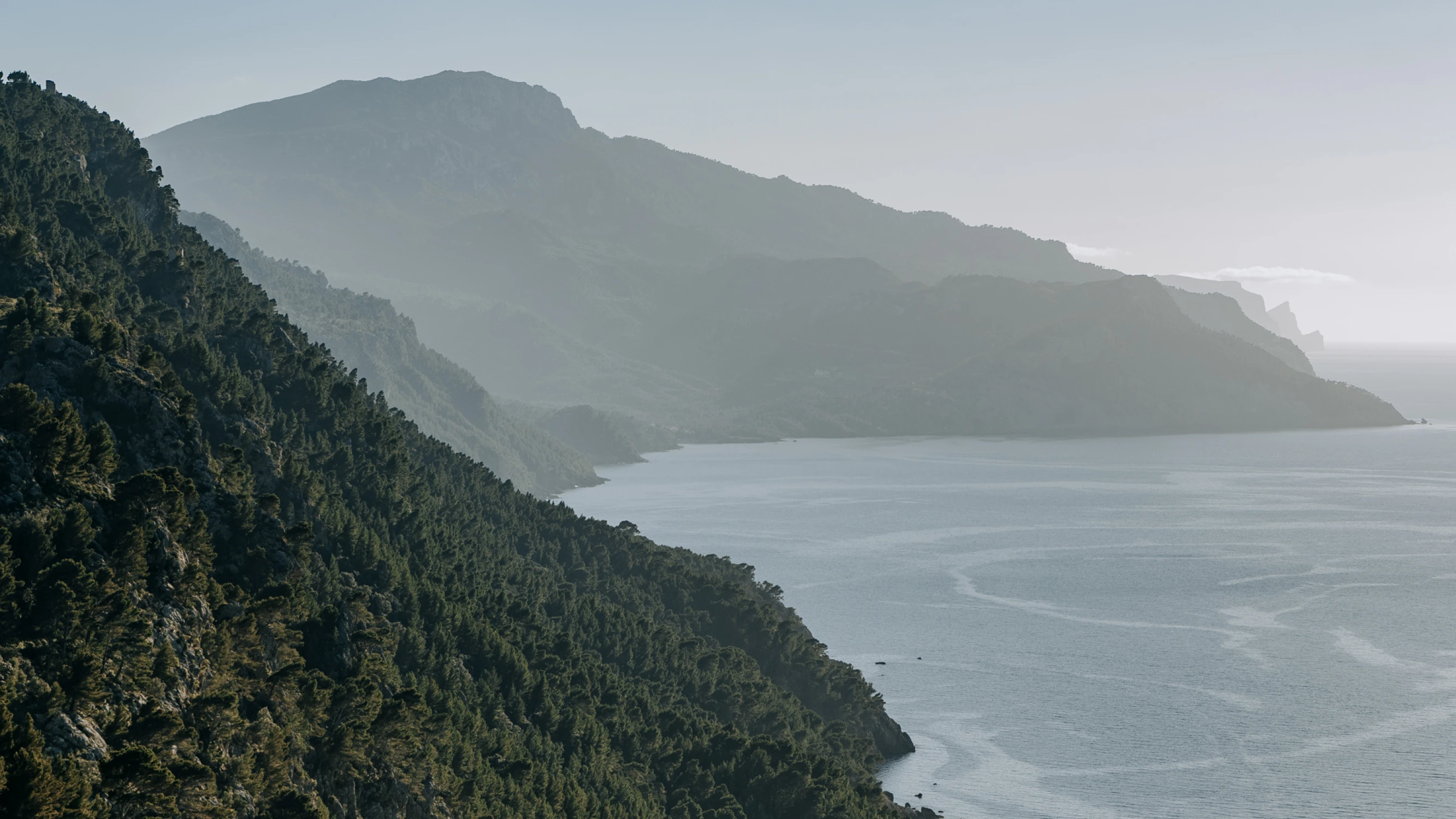 Aerial shot of shore line