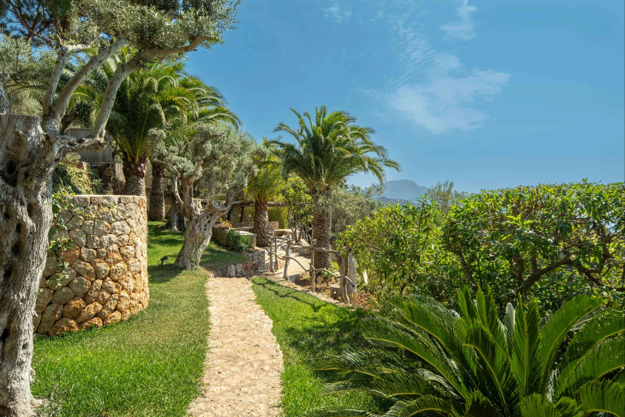 Image of Mallorca showcasing a garden filled with trees