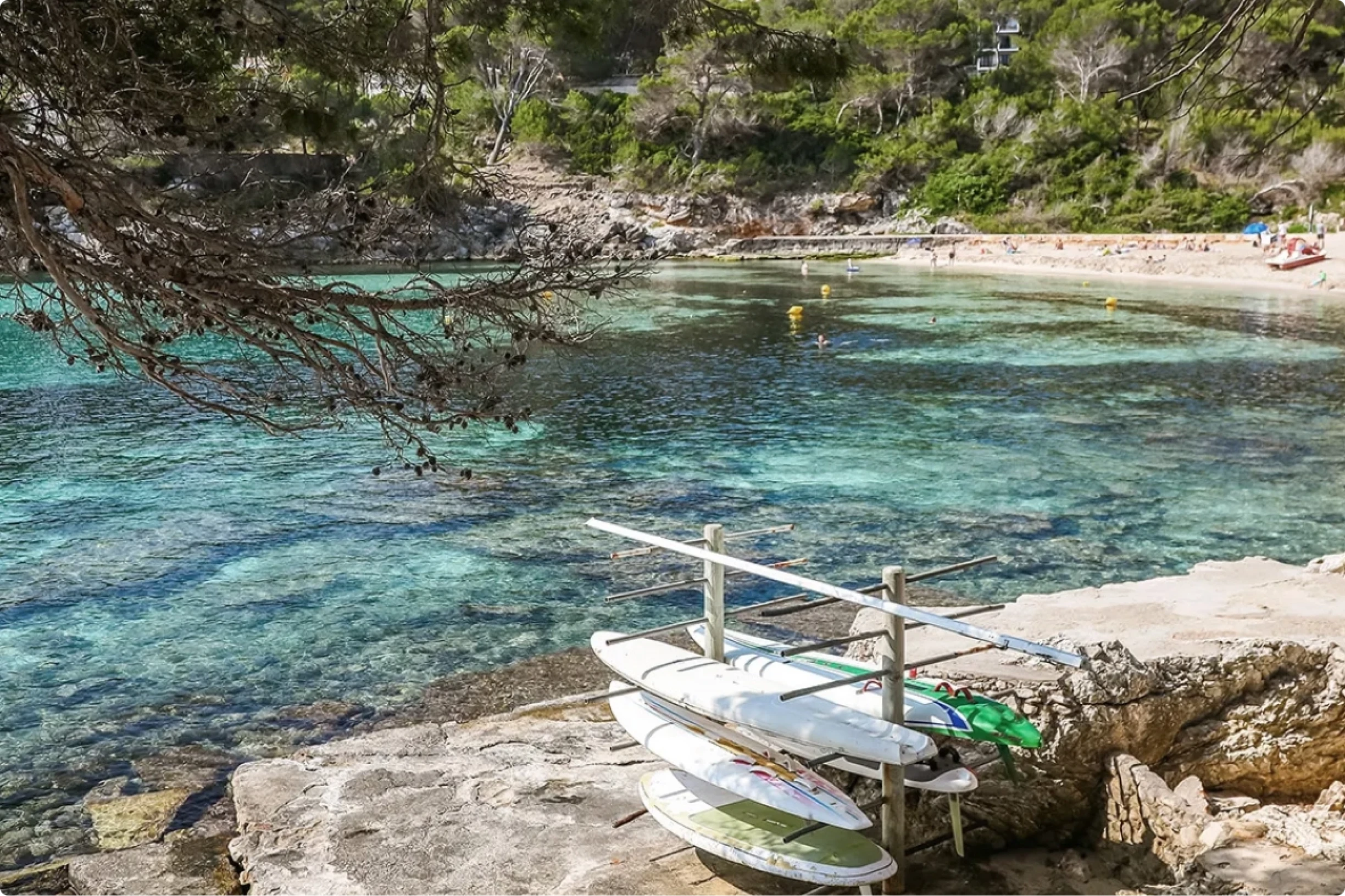 Paddle boards stored on a shore