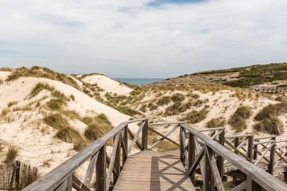 A wooden walkway through sand dunes