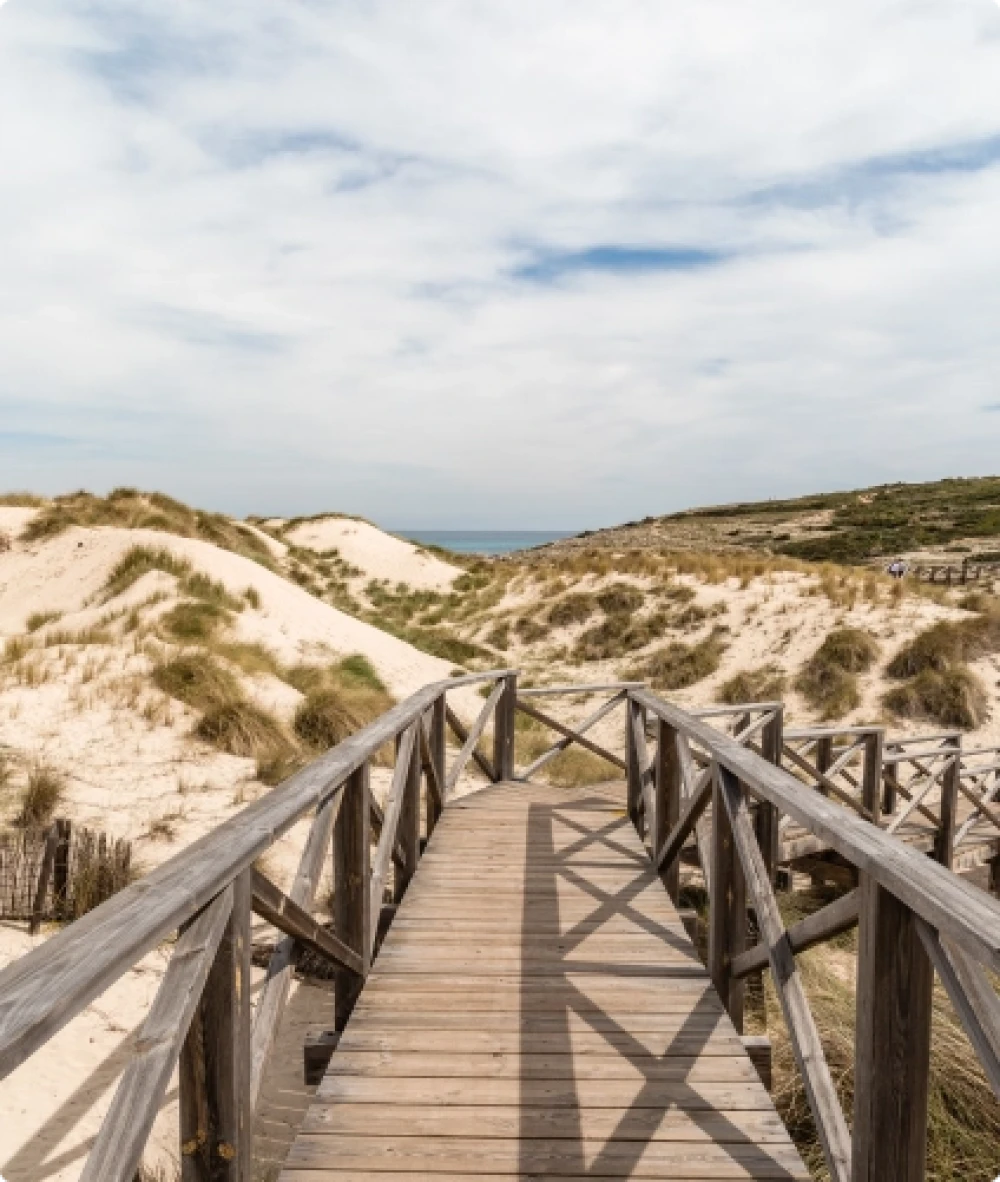 A wooden walkway through sand dunes