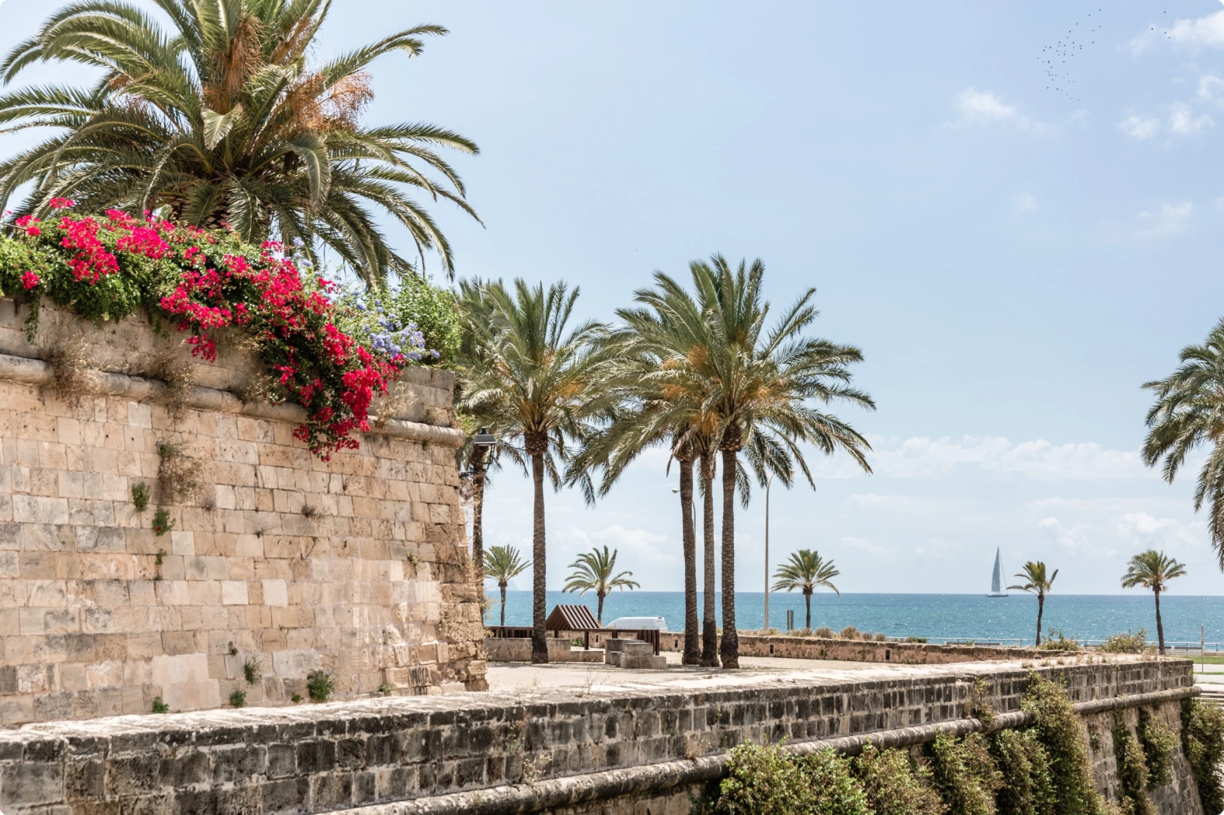 Costal walkway showing trees and plants