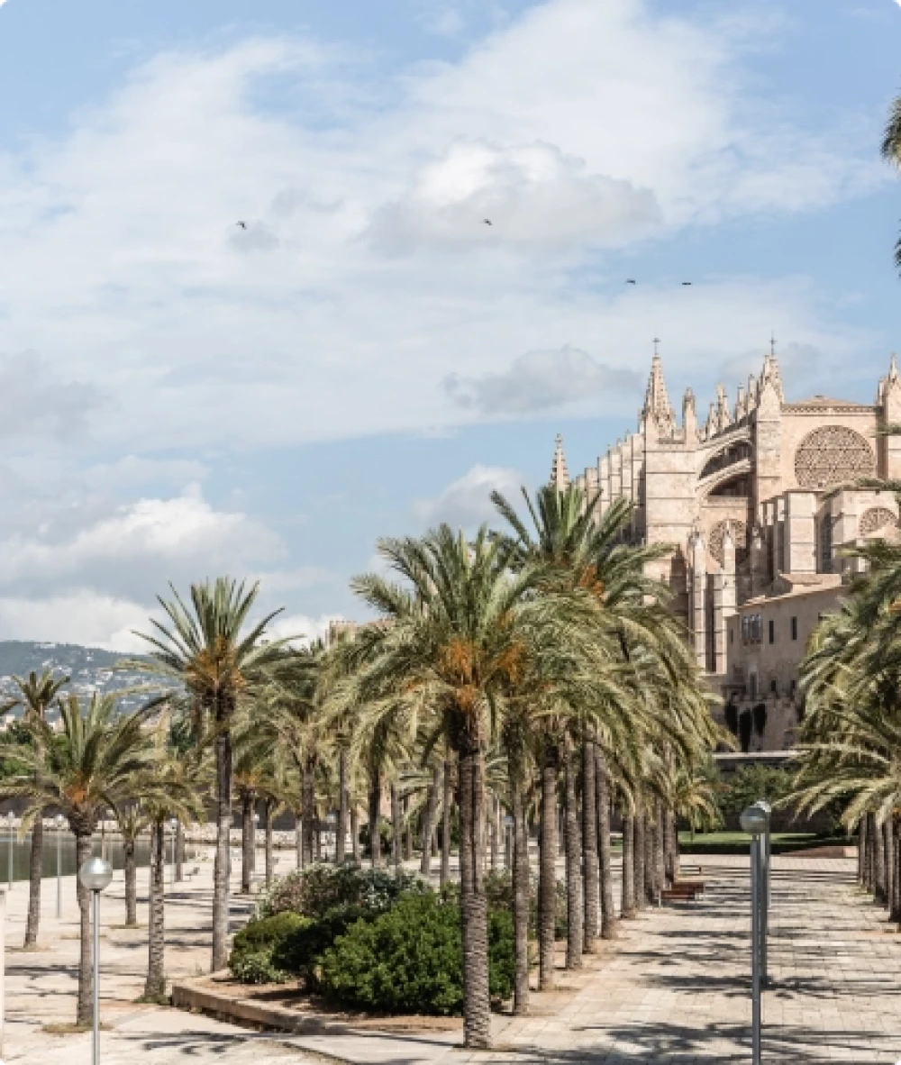 The Catedral-Basílica de Santa María de Mallorca, also known as La Seu.