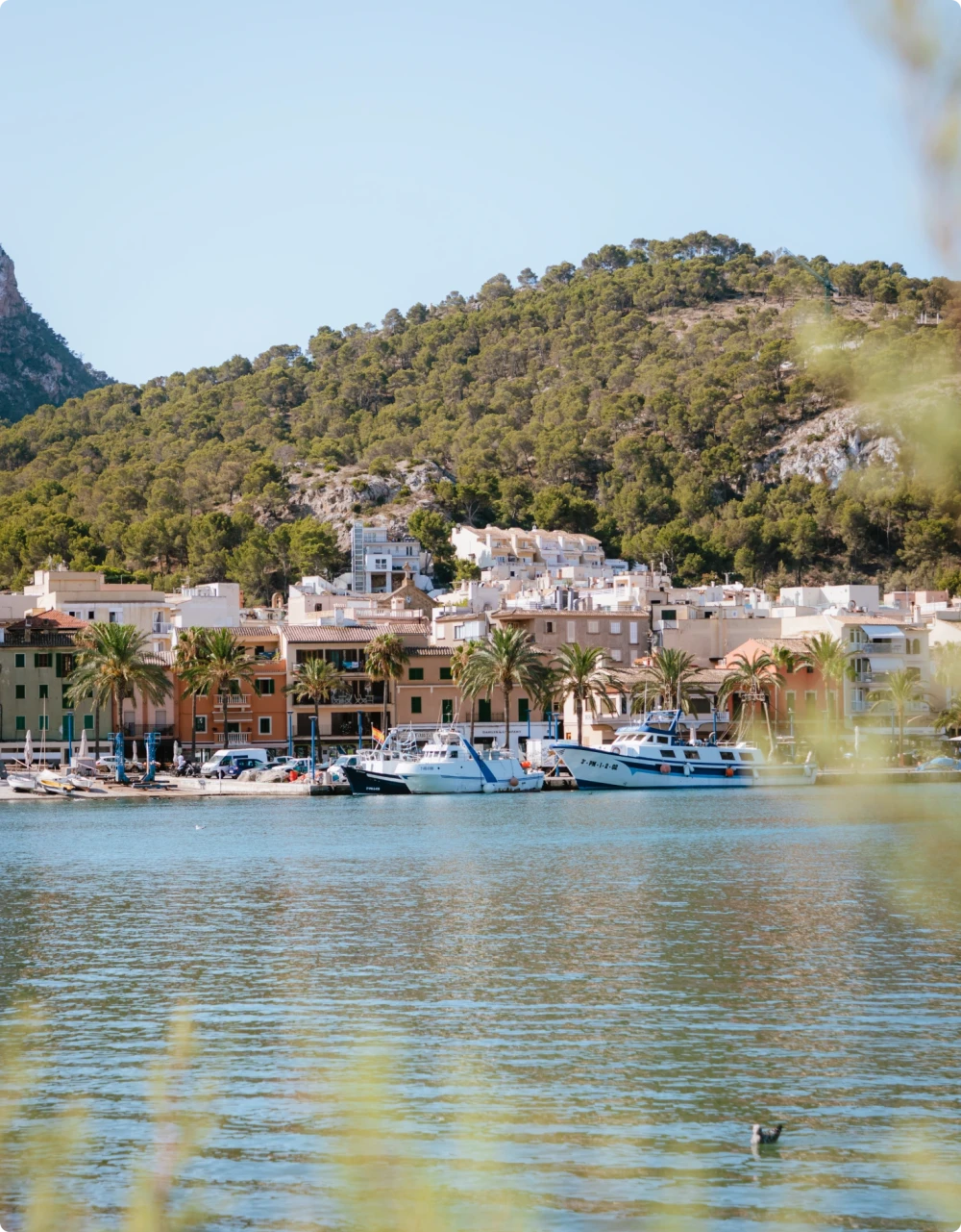 Boats docked at the marina 