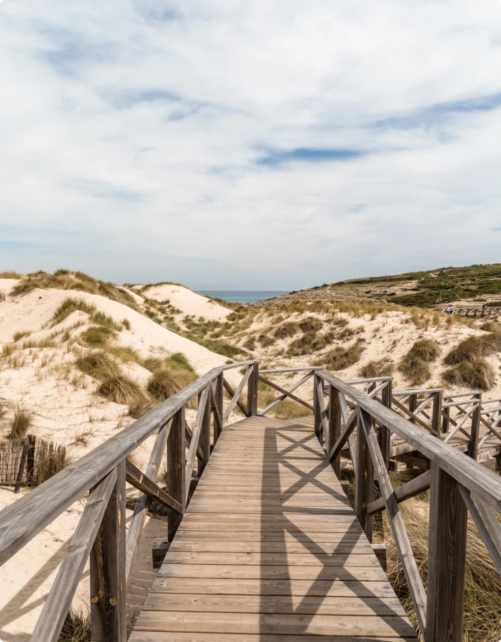 A wooden boardwalk winding through sandy dunes topped with grass leading toward the sea.