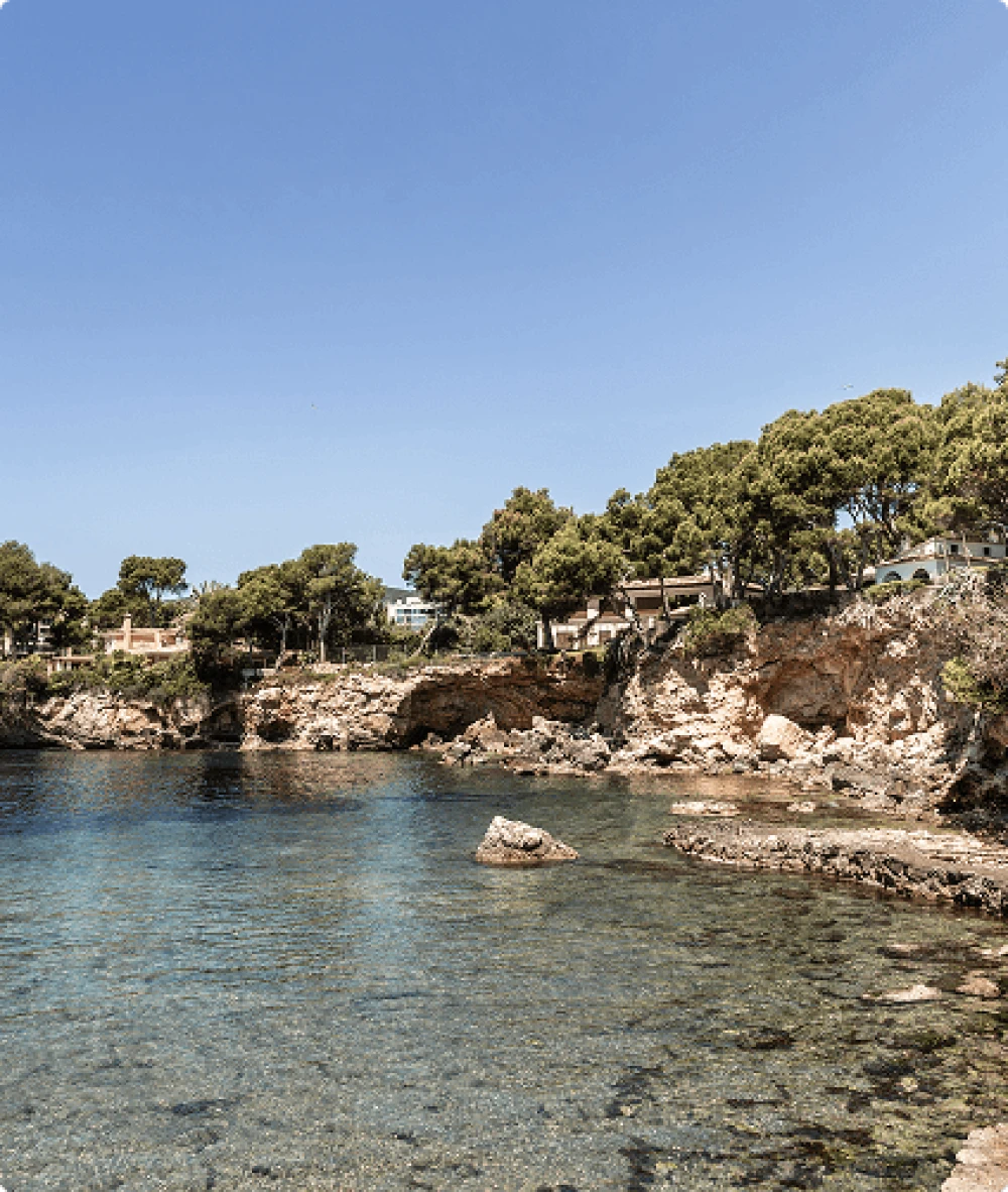 Crystal clear waters and pine-covered cliffs in the coastal area of Bendinat