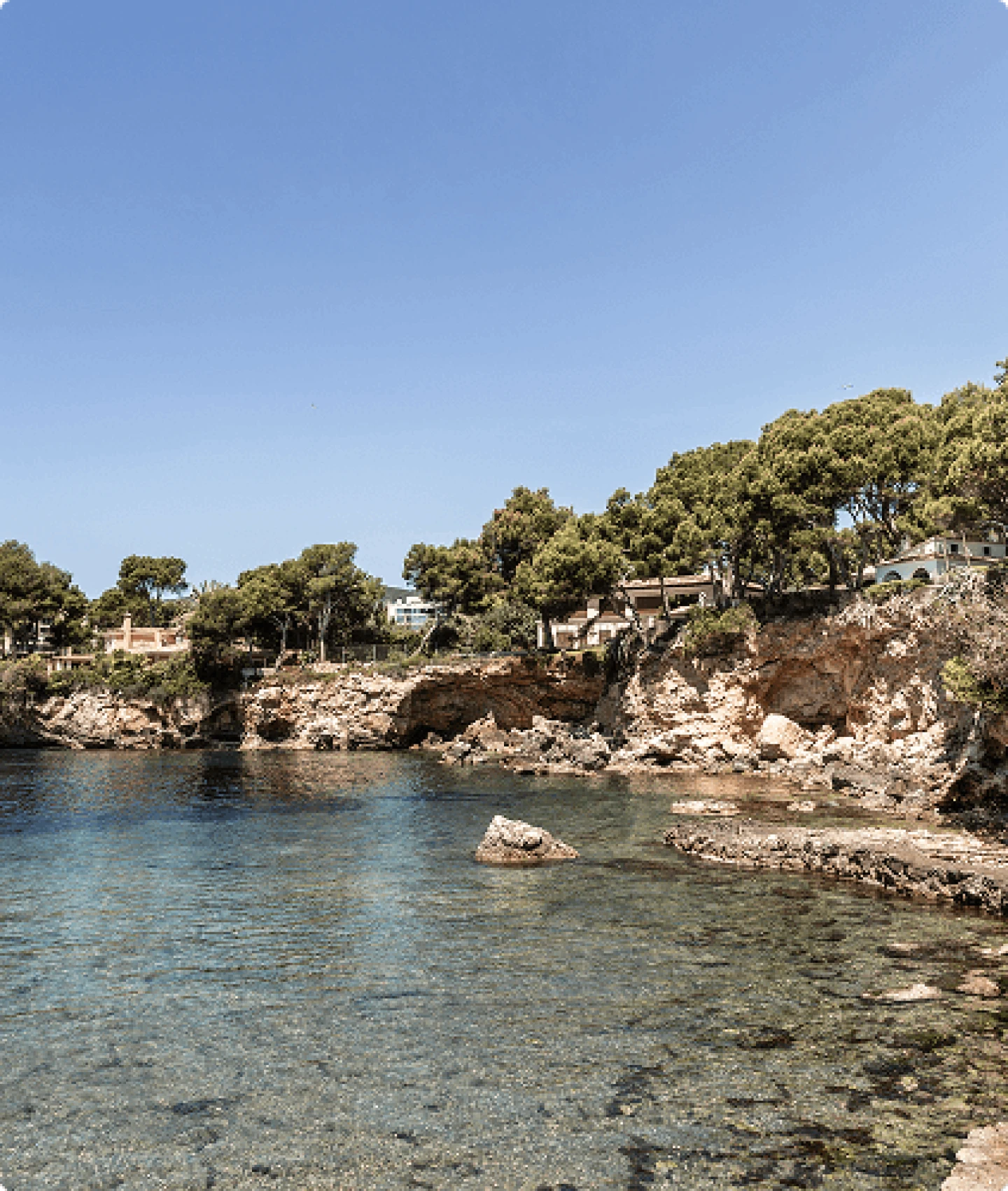 Crystal clear waters and pine-covered cliffs in the coastal area of Bendinat