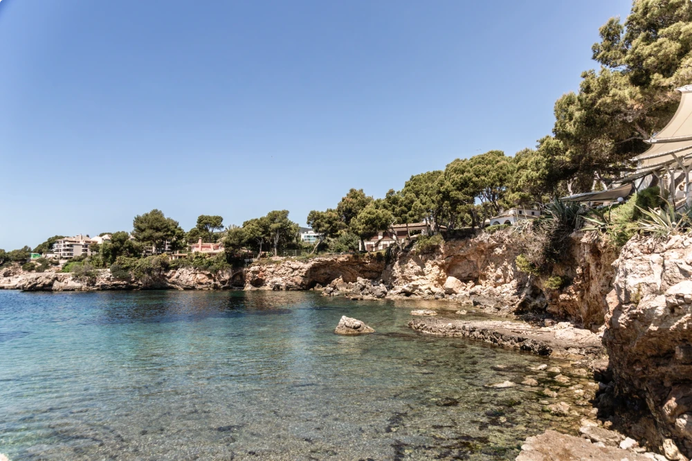 Crystal clear waters and pine-covered cliffs in the coastal area of Bendinat