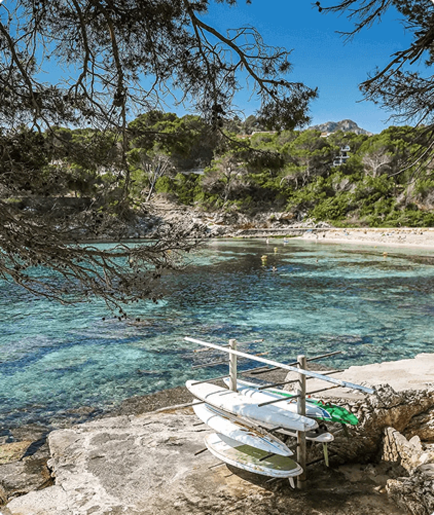 Turquoise waters and pine trees framing a scenic cove in Canyamel with surfboards in the foreground
