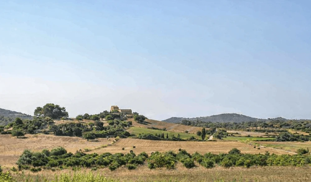 Farmland and Mediterranean landscape in Manacor