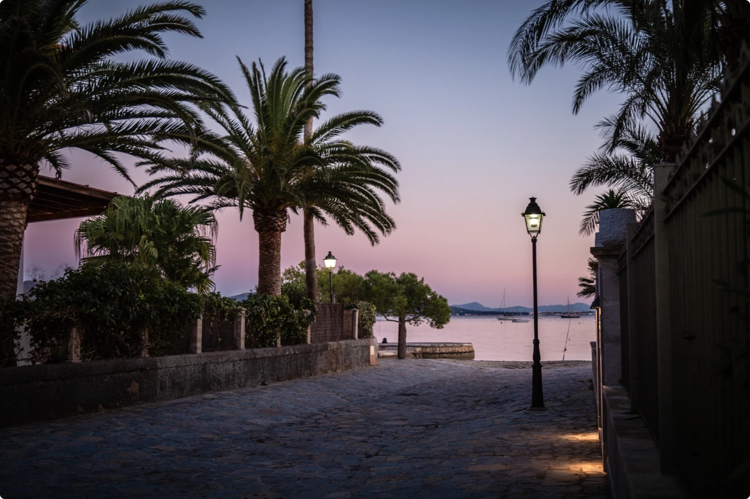 A cobblestone path at twilight lined with palm trees and glowing streetlamps leading to the sea.