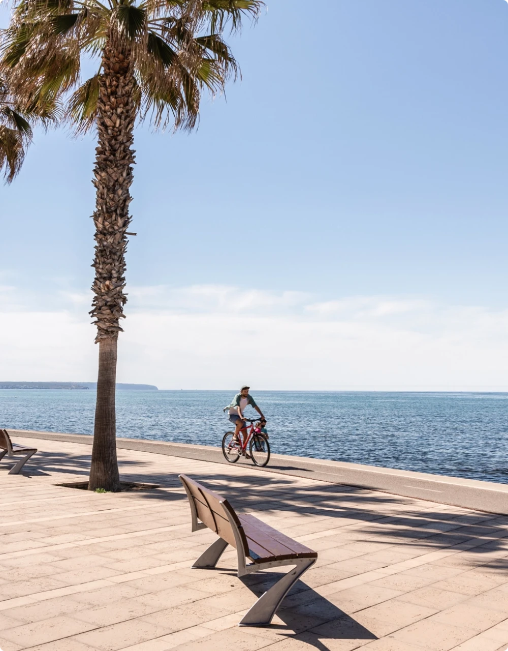 Sunny seafront promenade in Portixol with palm trees