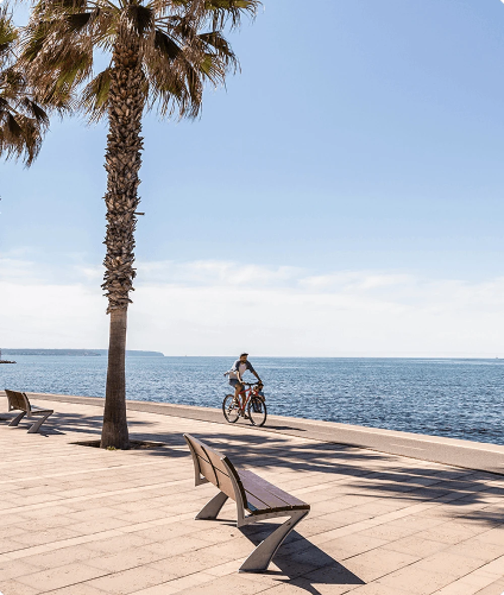 Sunny seafront promenade in Portixol with palm trees