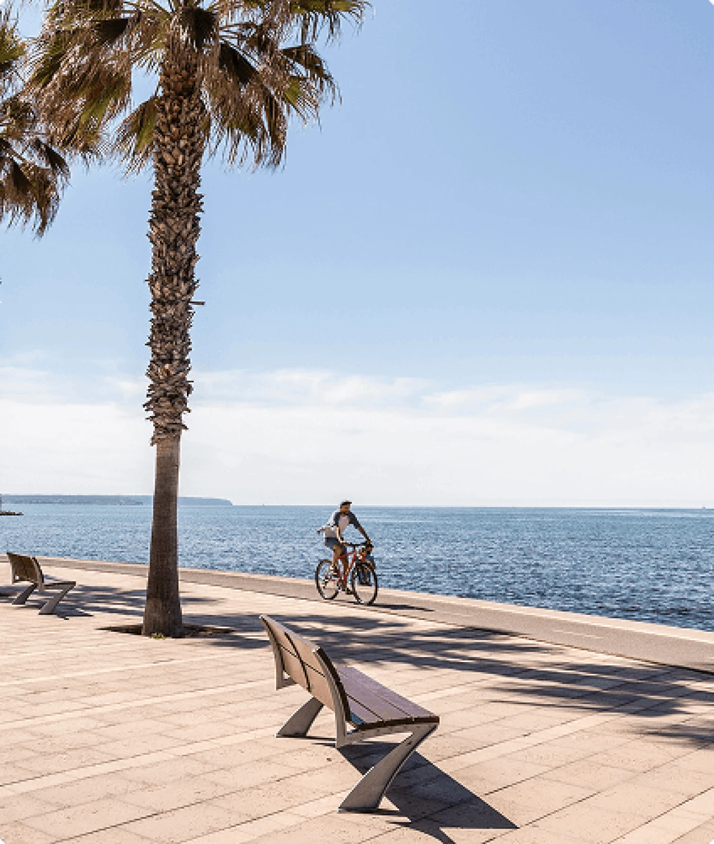 Sunny seafront promenade in Portixol with palm trees
