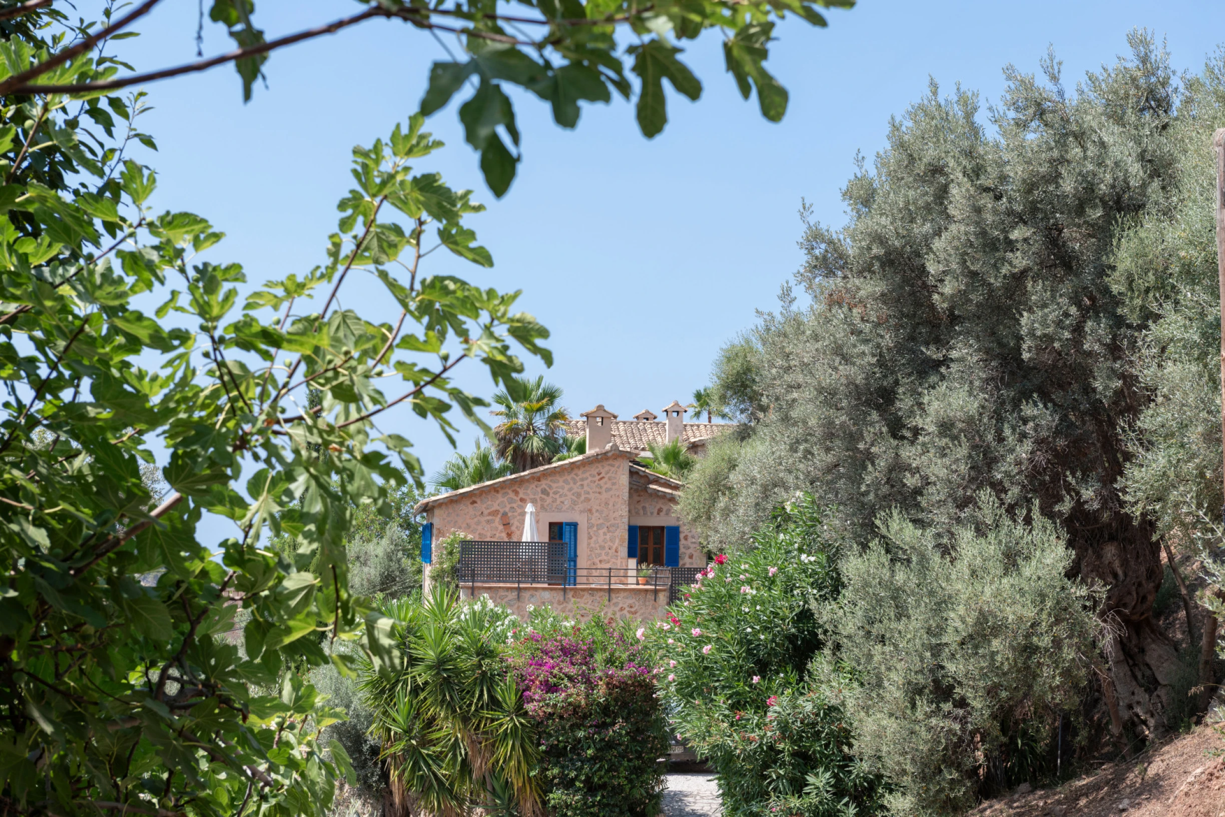 Image of the Property